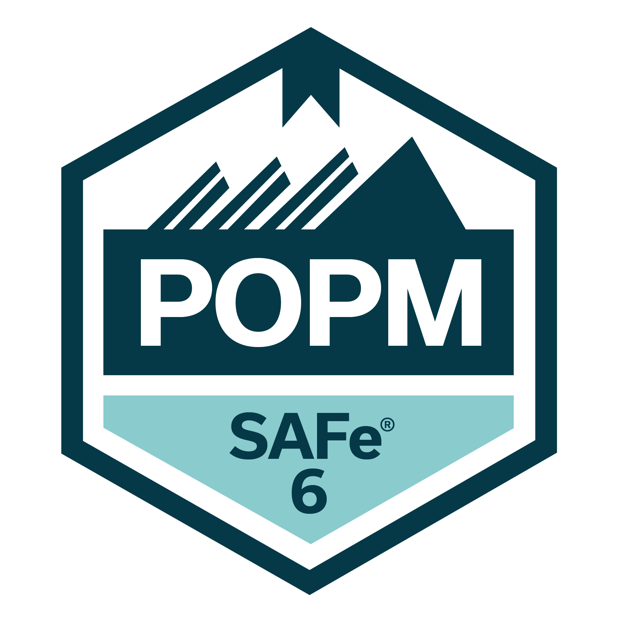 SAFe® 6.0 Product Owner/Product Manager